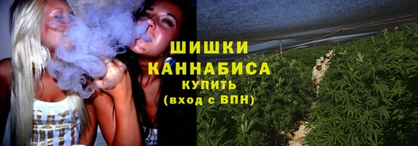 твердый Надым