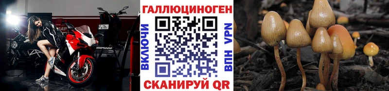 Псилоцибиновые грибы прущие грибы  Южно-Сахалинск 